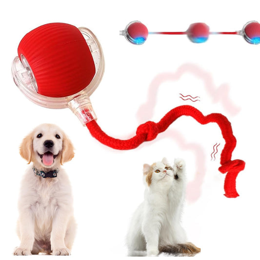 CatChase Smart Interactive Toy Ball 2025
